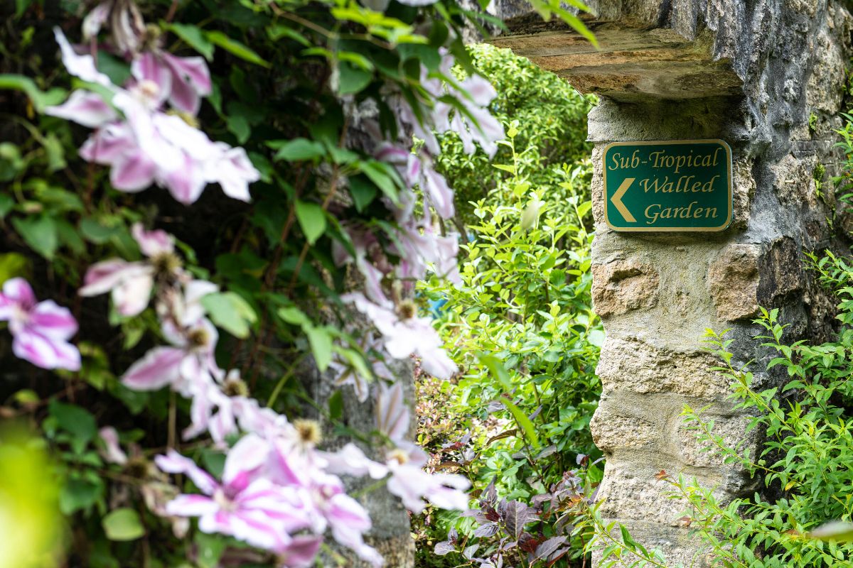 Gallery Item 6 for Tregenna Castle Hotel
