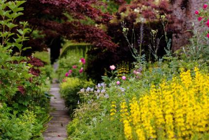 Gallery Item 5 for Saltmarshe Hall