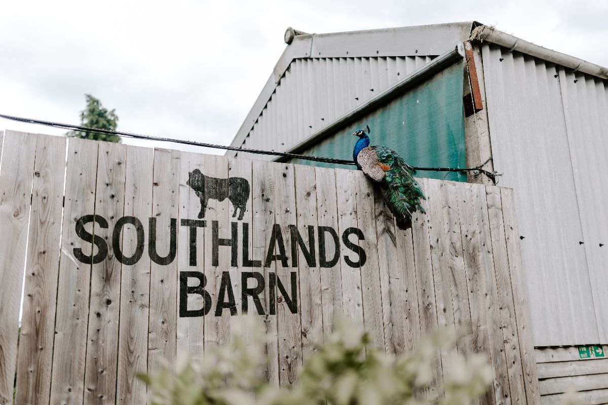 Gallery Item 8 for Southlands Barn