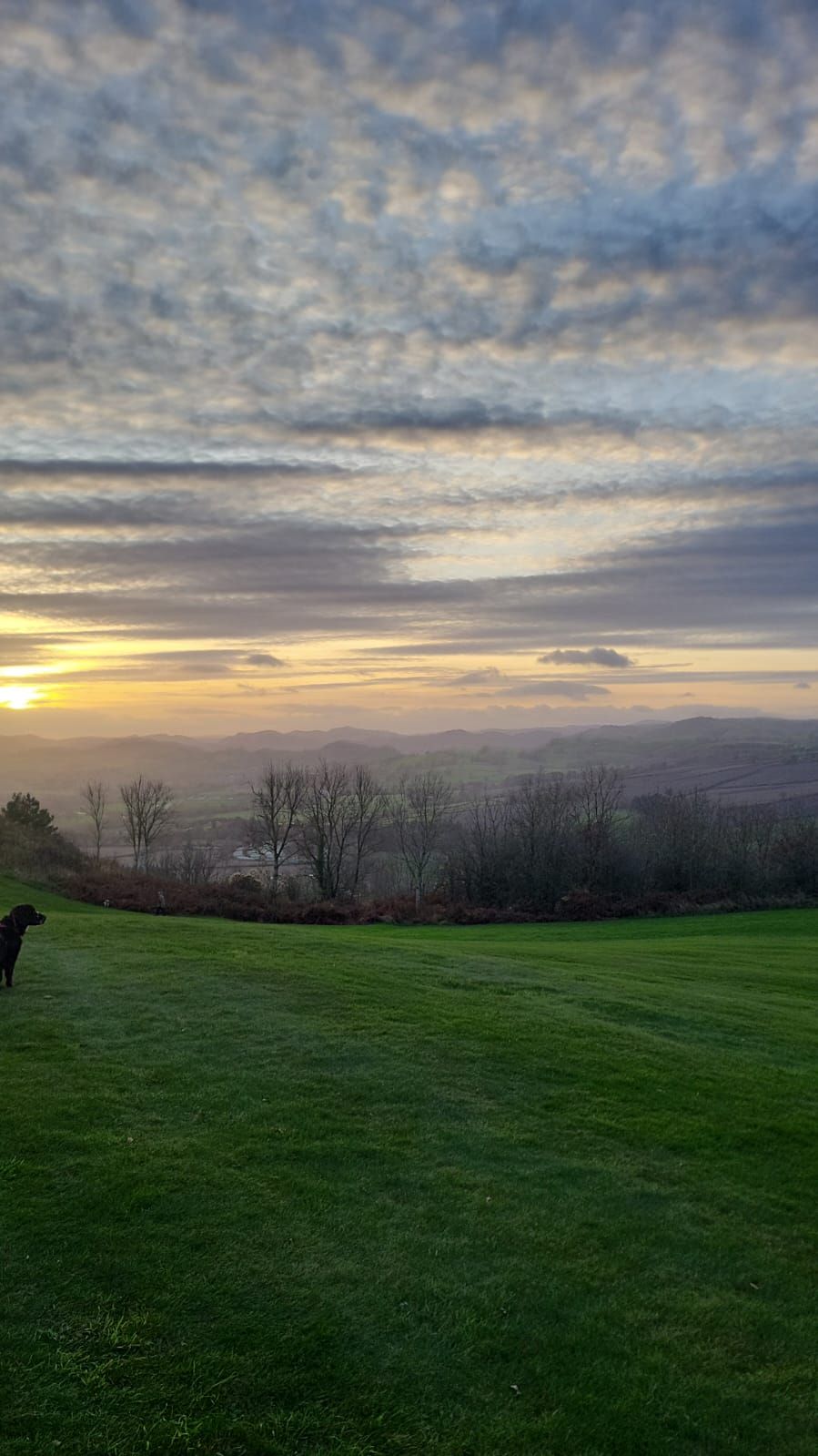 Gallery Item 4 for LLANYMYNECH GOLF CLUB