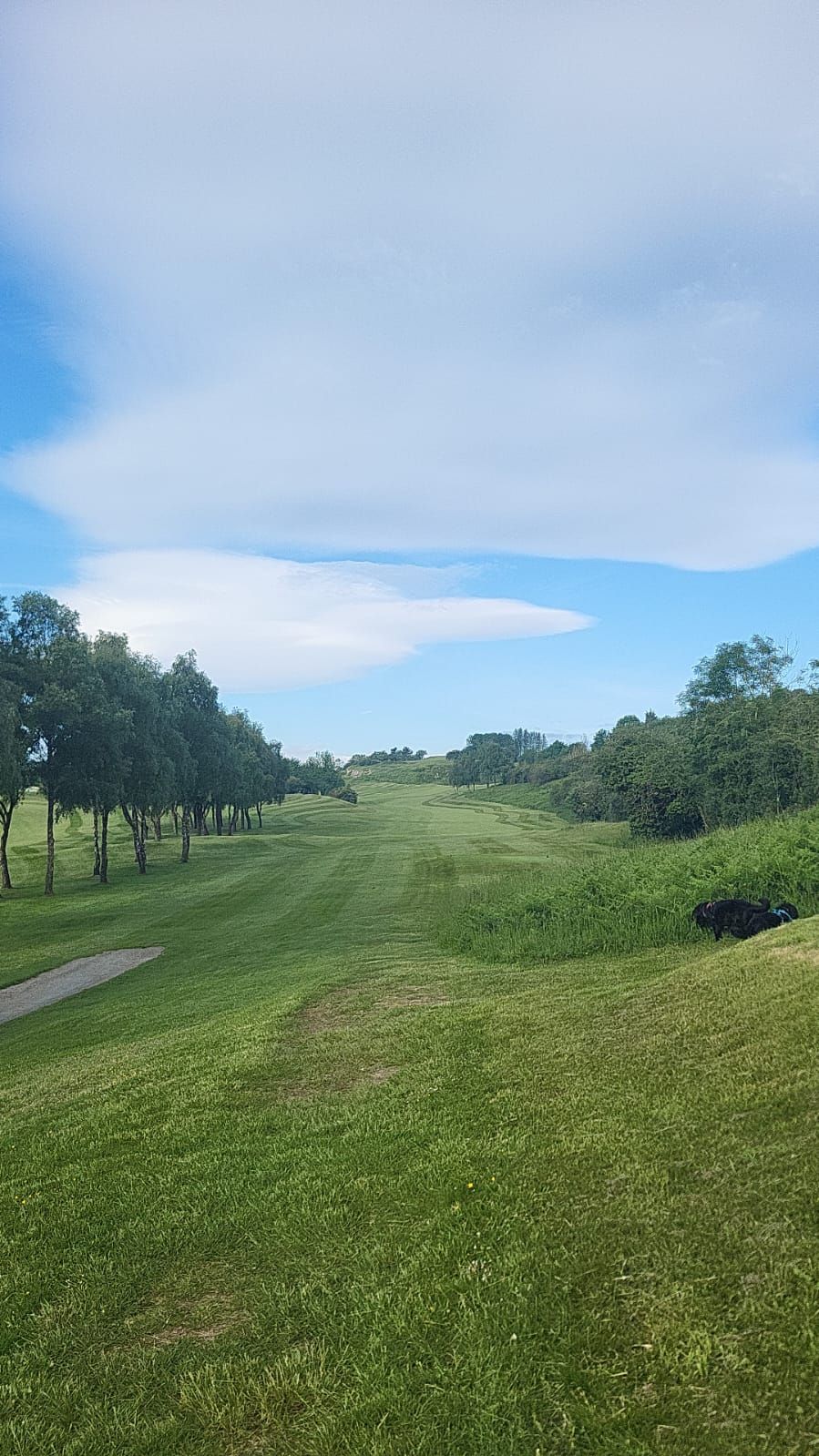 Gallery Item 6 for LLANYMYNECH GOLF CLUB